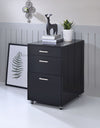 FILE CABINET - COLEEN