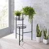 NAMID PLANT STAND